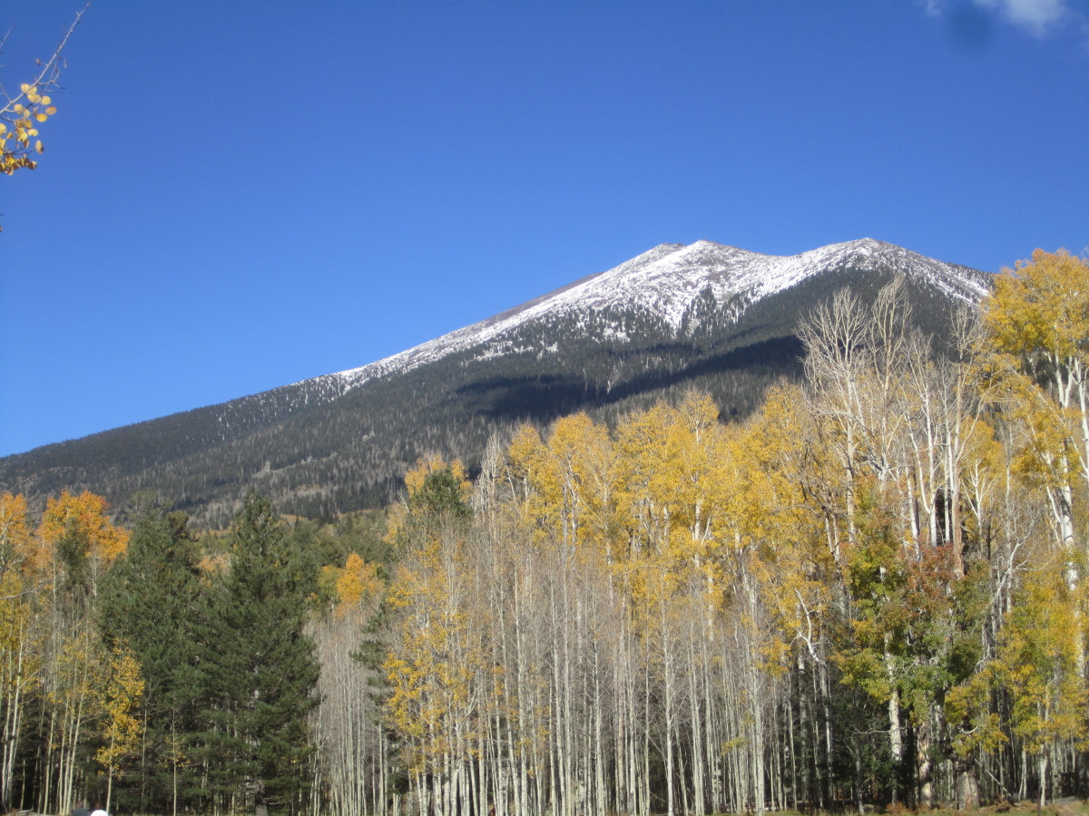 What To See And Do In Flagstaff, Arizona HubPages