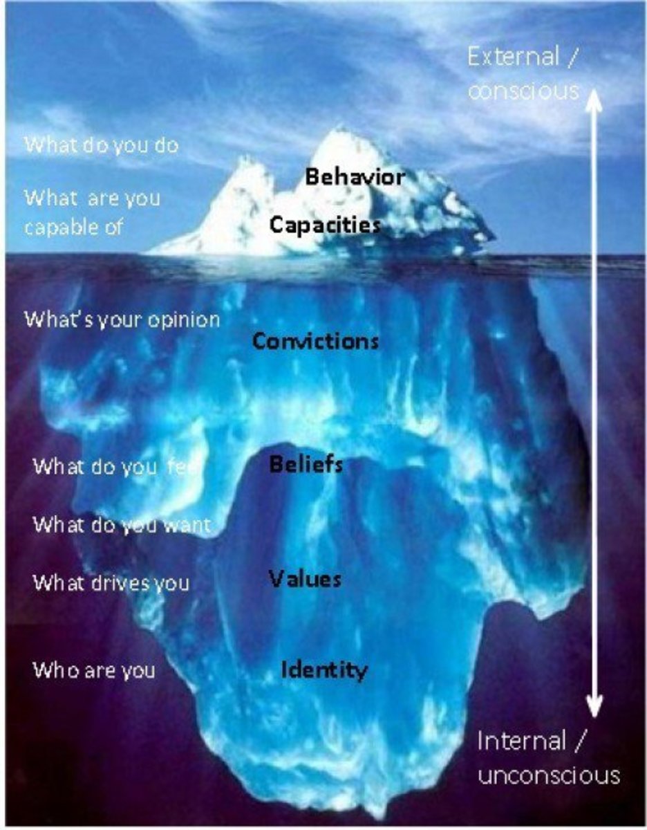 The Relationship Between Beliefs, Values, Attitudes and Behaviours