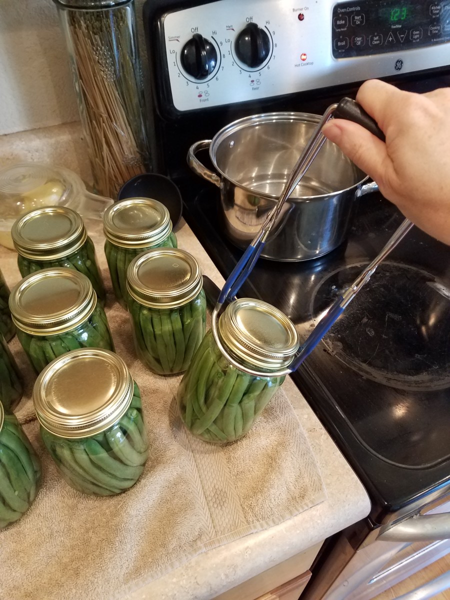 Pressure Canning Green Beans Delishably