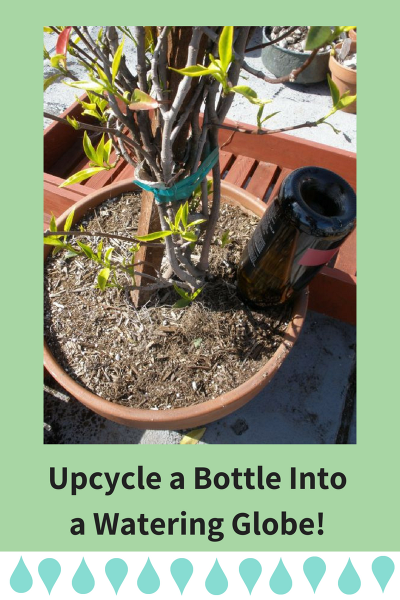 Make Your Own Recycled Plant Watering Globe in Minutes! Dengarden
