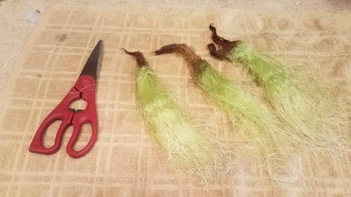 Making Homemade Corn Silk Spice Delishably