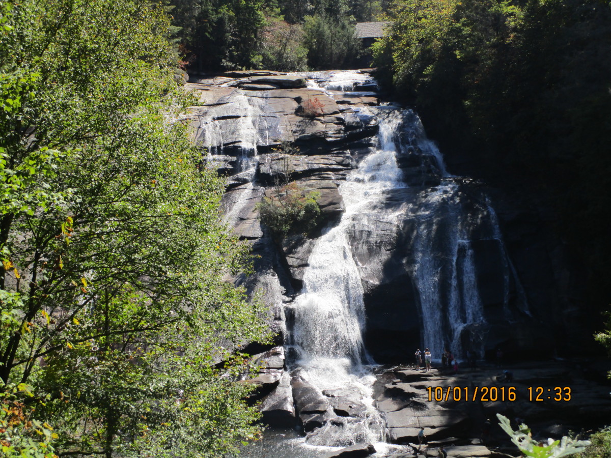 Dupont State Forest HubPages