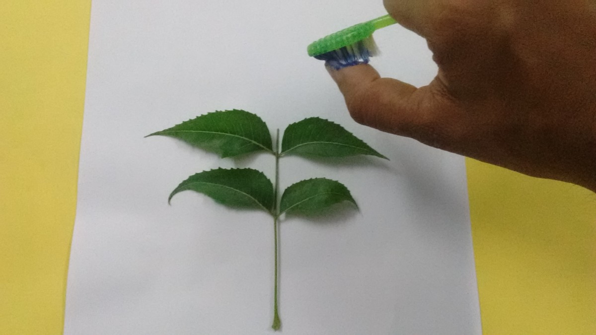 8 Useful Tricks to Create Amazing Toothbrush Spray Paintings. HubPages