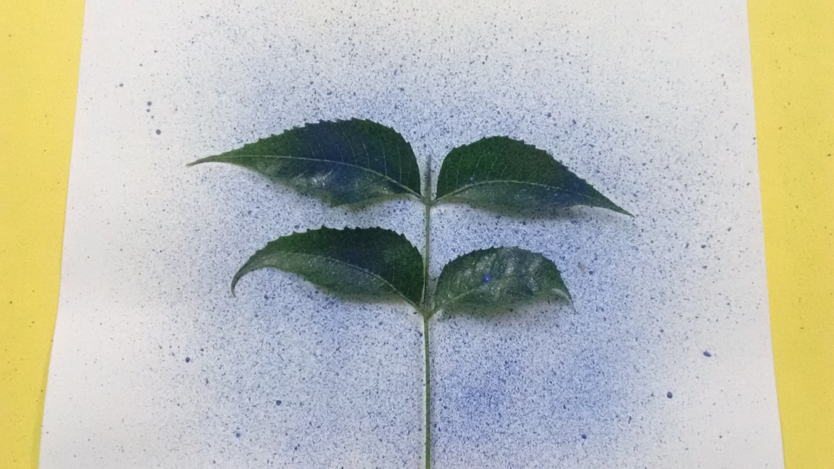 8 Useful Tricks to Create Amazing Toothbrush Spray Paintings. HubPages