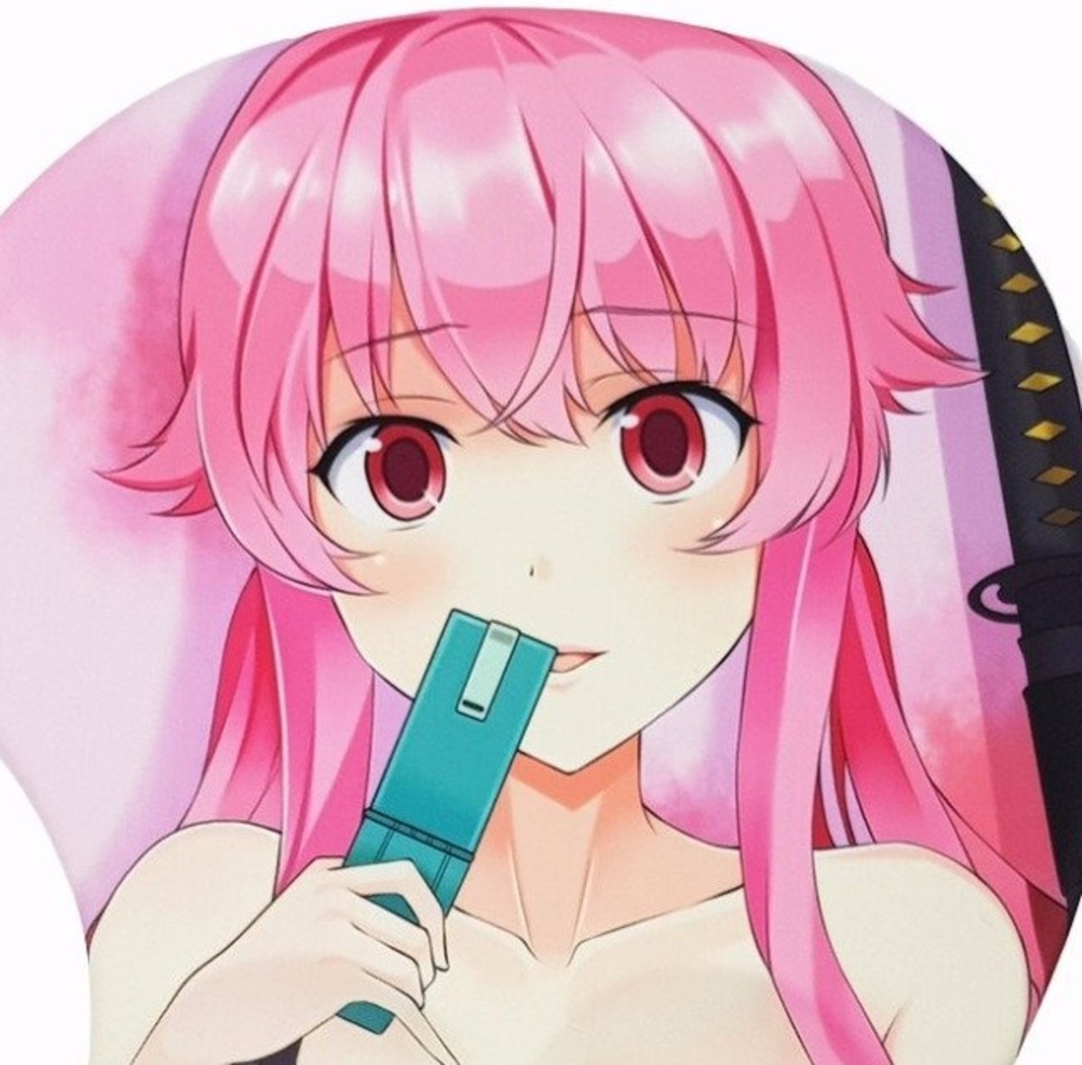 Top 12 Diaries in Future Diary HubPages