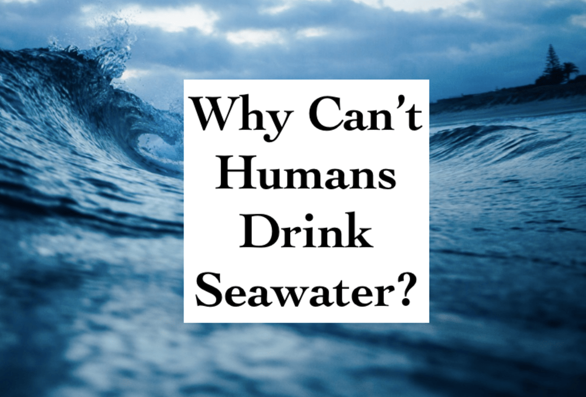Why Can't Humans Drink Seawater? Owlcation