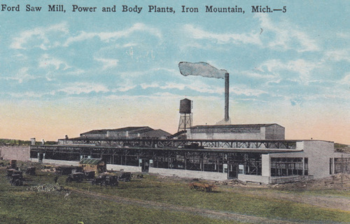 Henry Ford and the Great American Barbecue Owlcation