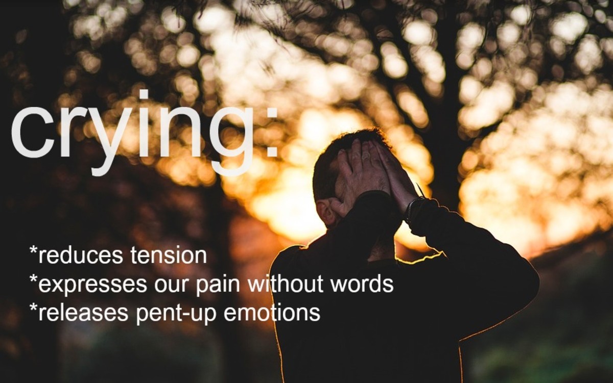 How to Grieve the Loss of a Pet and Say Goodbye to Your Friend PetHelpful