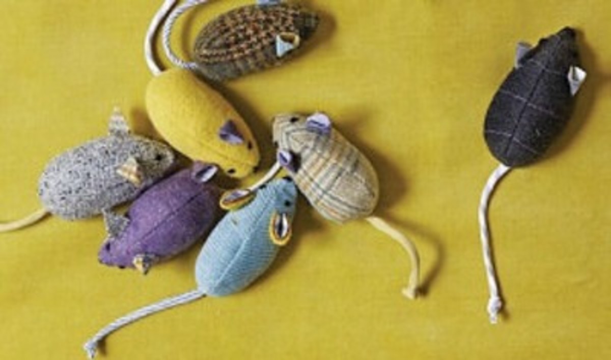 32 Fun and Creative Mouse Crafts HubPages