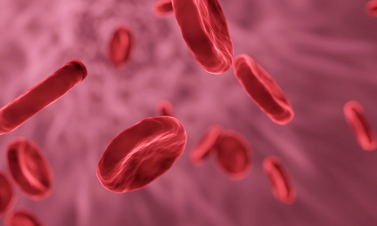 How Blood Clots Platelets and the Coagulation Cascade Owlcation