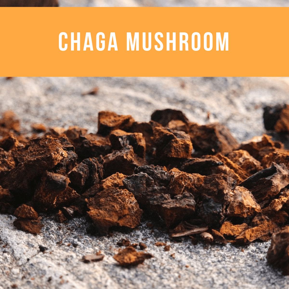 The Health Benefits of the Chaga Mushroom Elixir RemedyGrove