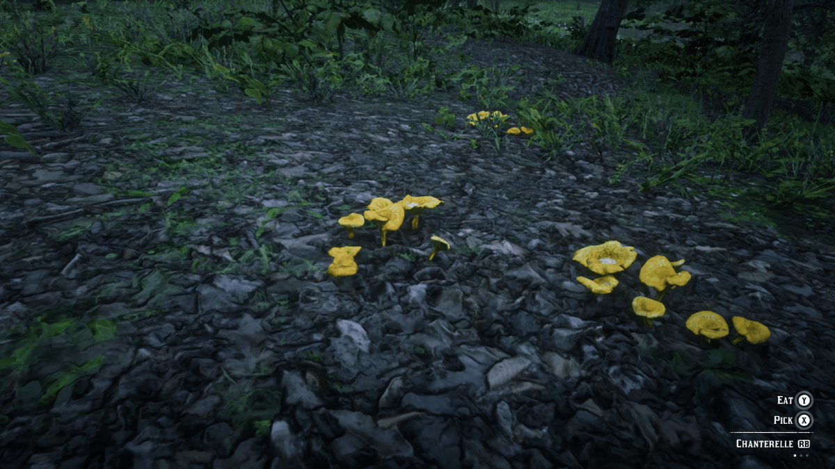 "Red Dead Redemption 2" Herbalist Challenges LevelSkip