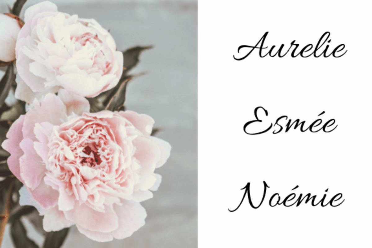 250+ Vintage, Chic, and Popular French Names for Girls WeHaveKids