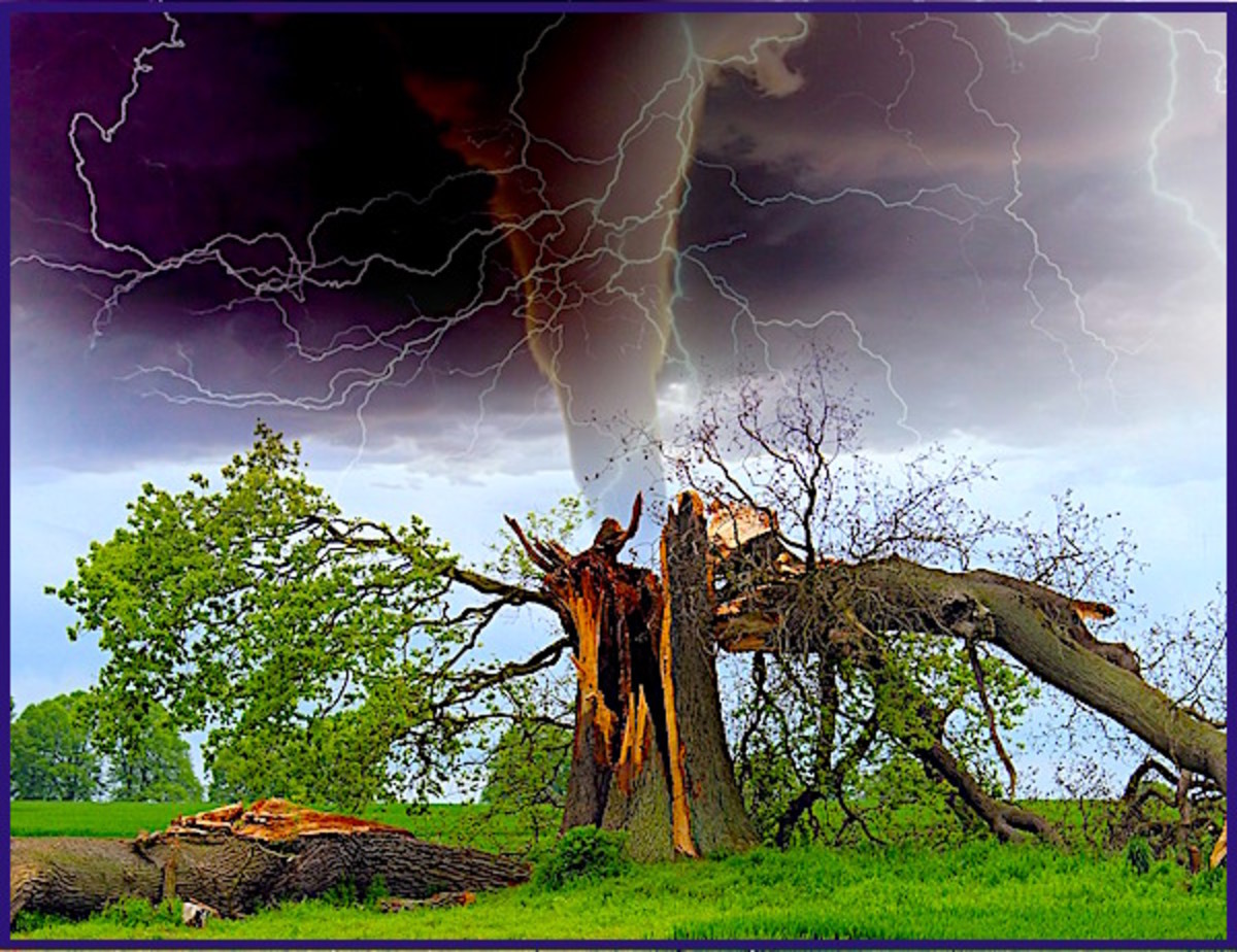 The 5 Most Destructive Natural Disasters of the Past 10 Years Owlcation