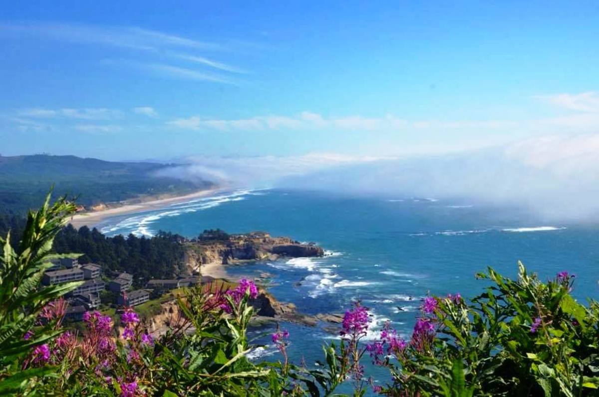 The Top 10 Things to Do in Oregon Outdoors WanderWisdom