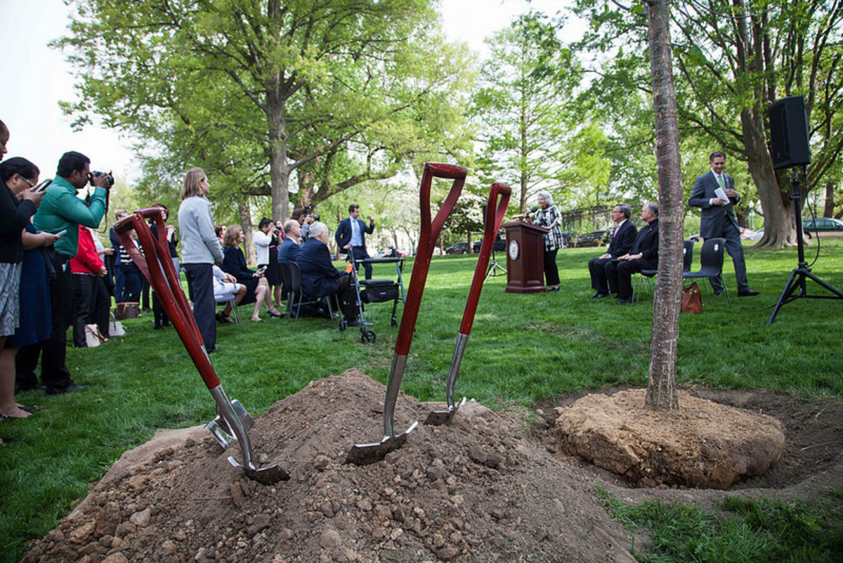 5 Easy Ways You Can Help Reduce Pollution Dengarden