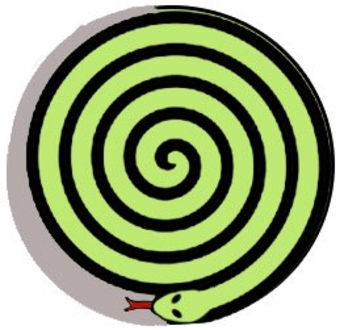 All Snakes Day Pagan St. Patrick's Day Celebration Exemplore