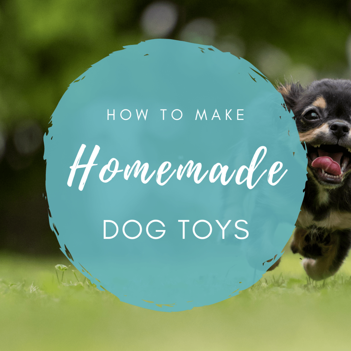 Homemade Treat Dispensing Dog Toys Wow Blog