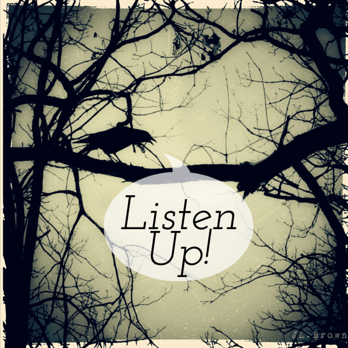 How to Read Birds as Omens and Signs HubPages