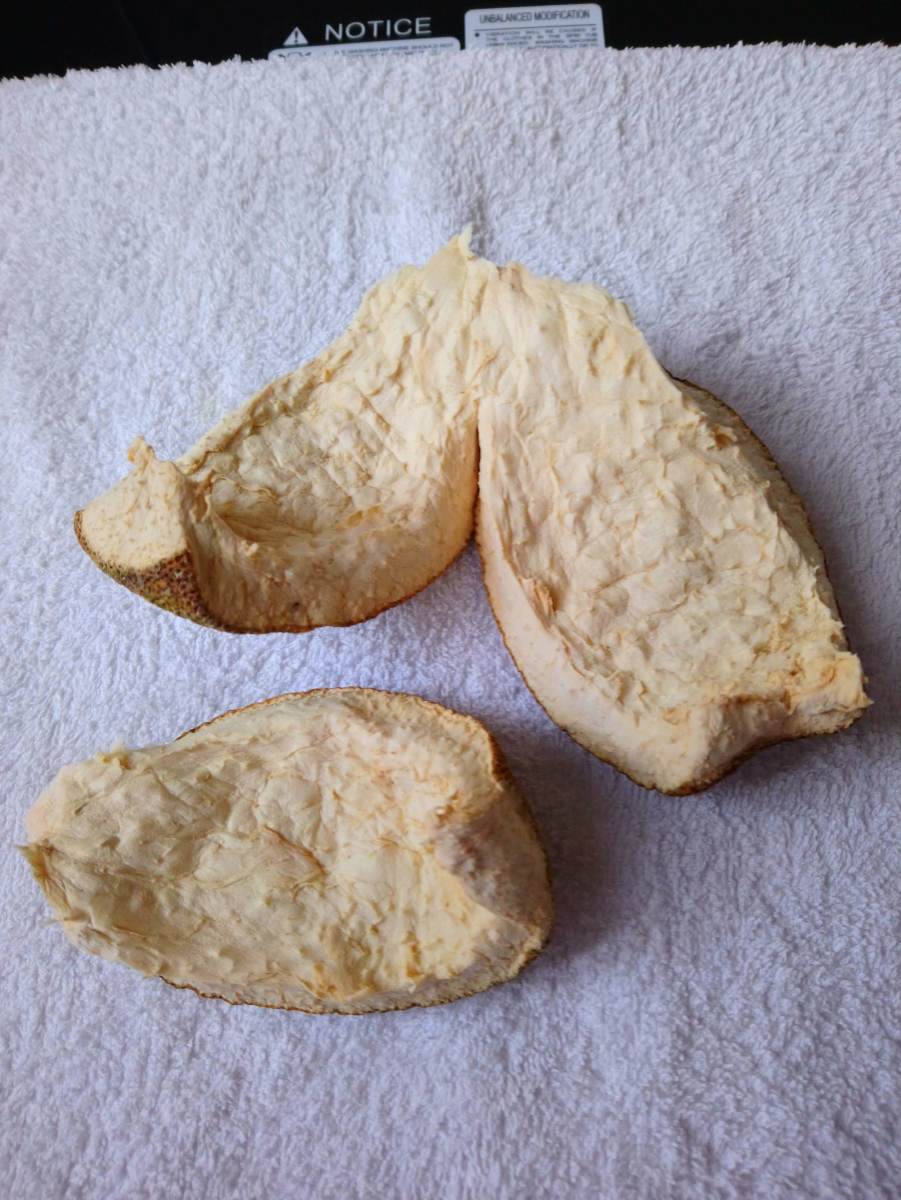 What to Do With Pomelo Skin After Eating the Fruit Dengarden