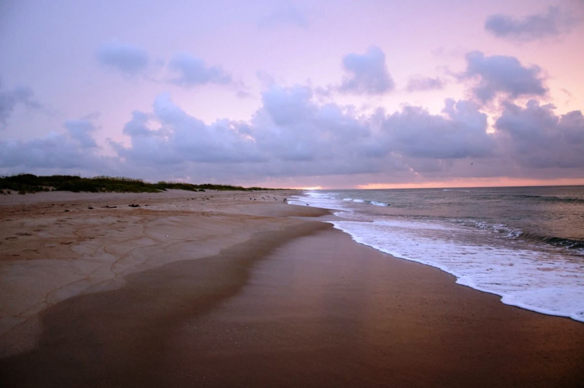 The Top 10 Things to Do in the Outer Banks of North Carolina WanderWisdom