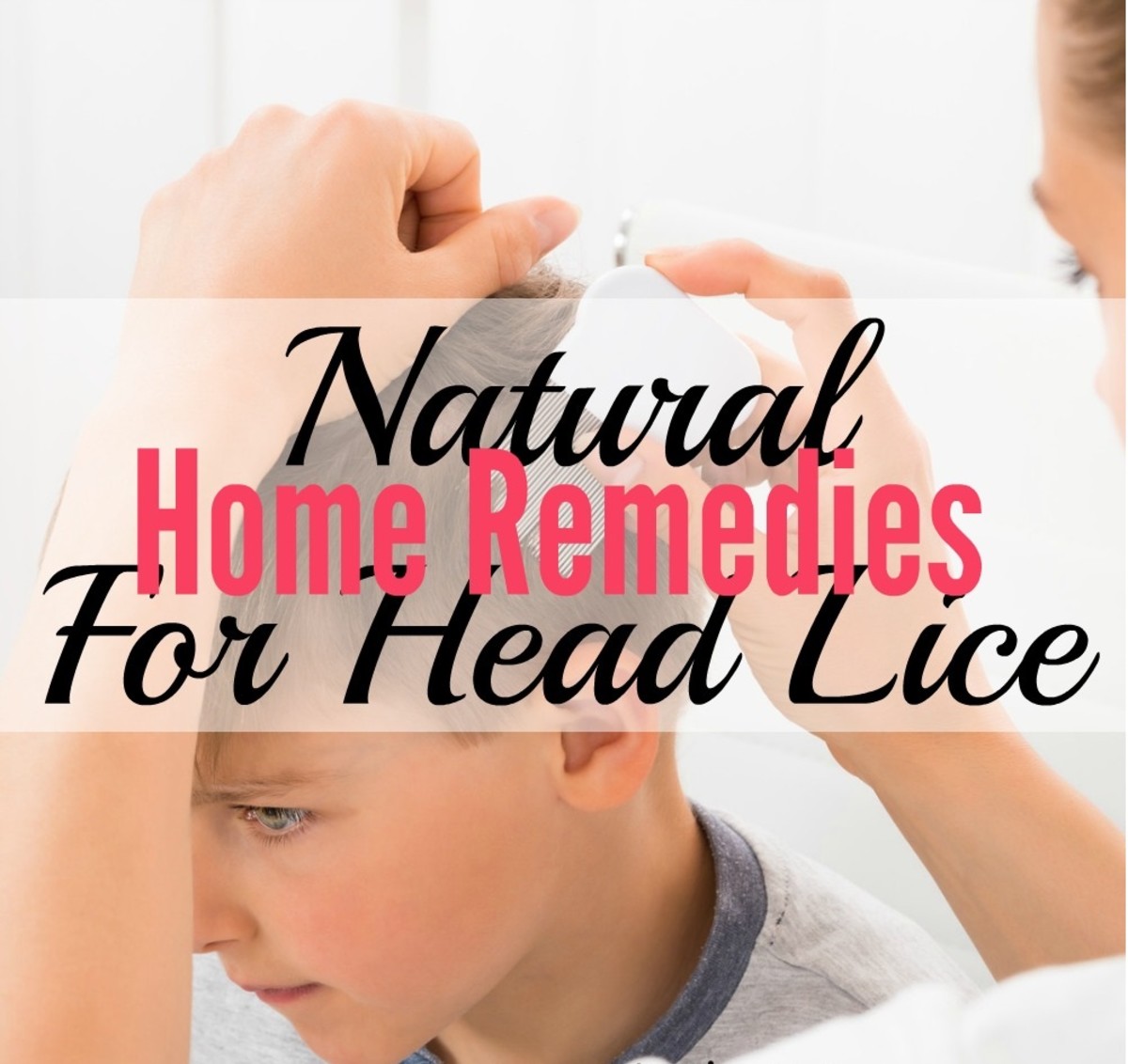 How to Get Rid of Lice Naturally Fairy Tales "Rosemary Repel" Shampoo