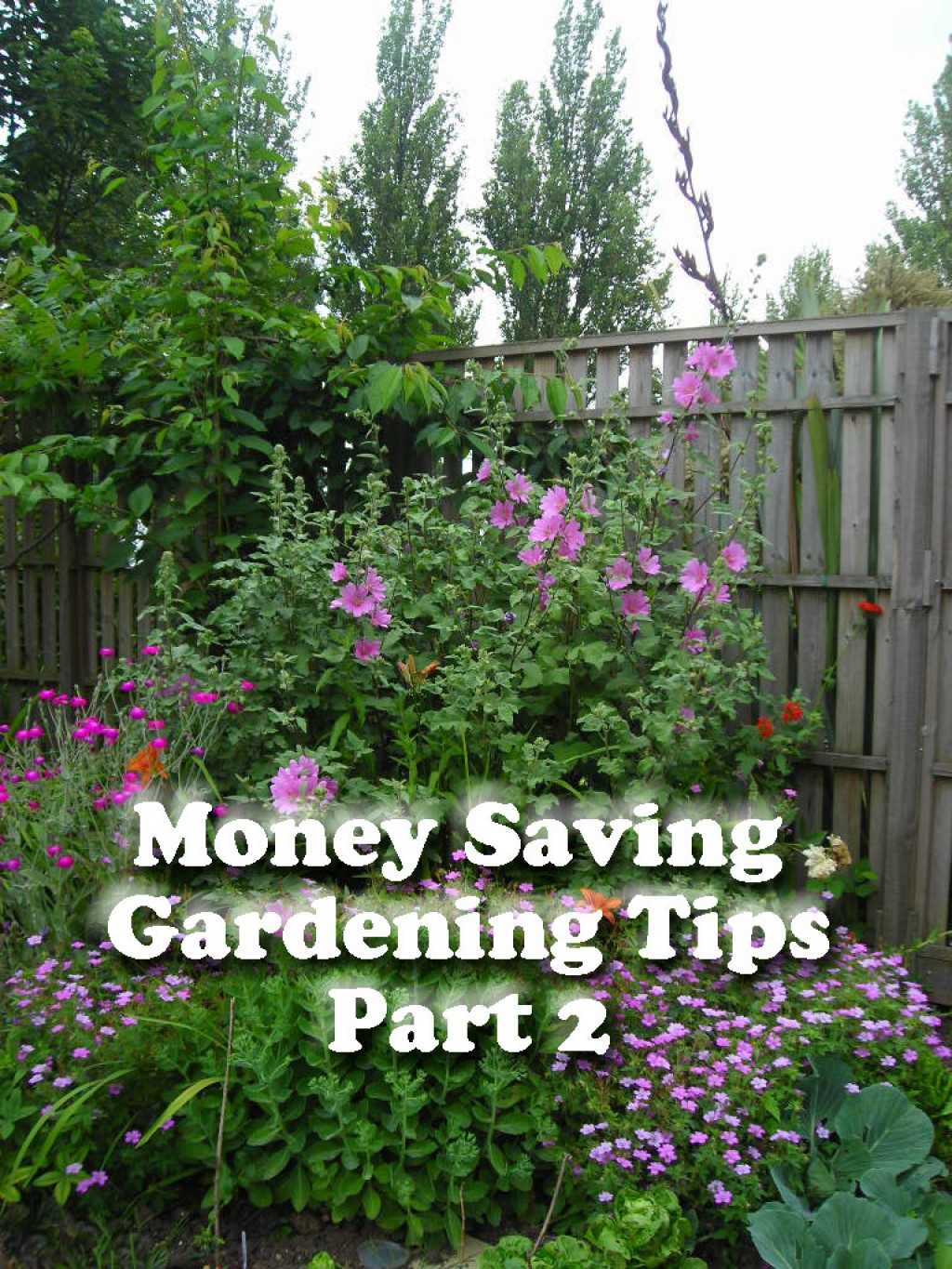 Money Saving Gardening Tips Part 2 HubPages