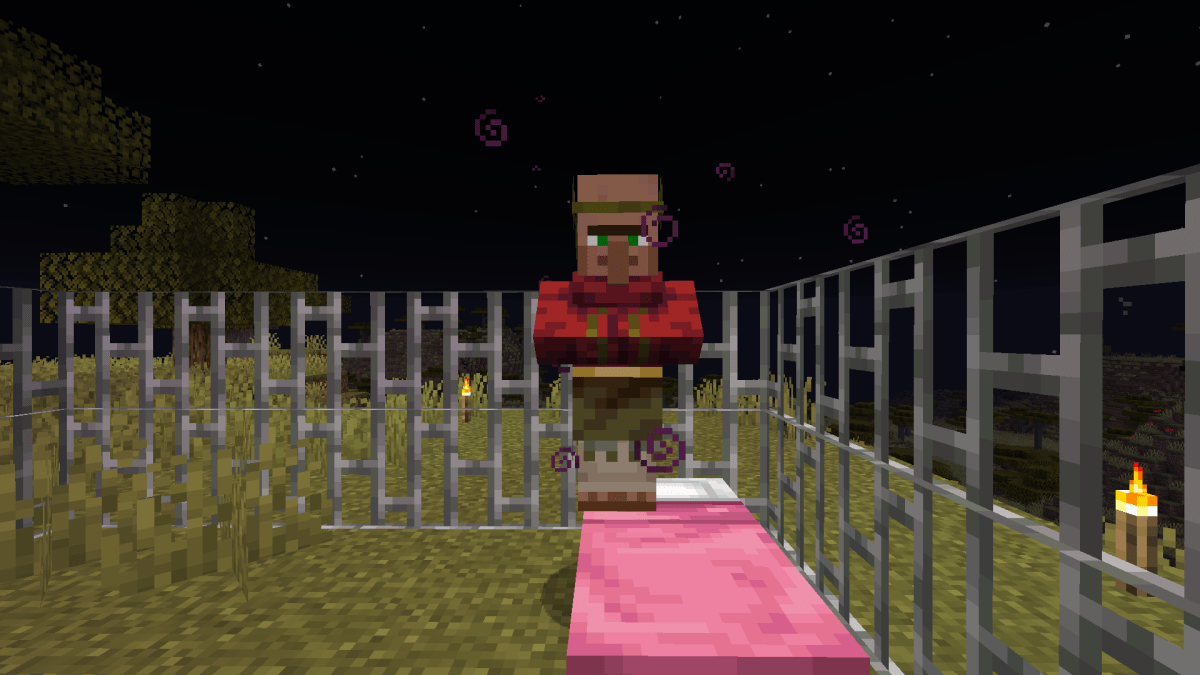 How to Make Your Own Village in "Minecraft" LevelSkip