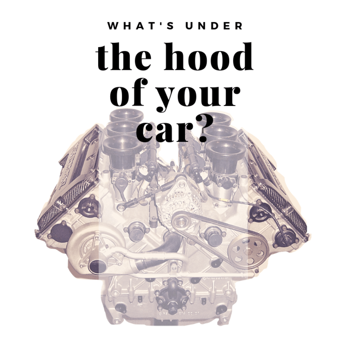 What's Under the Hood of Your Car? AxleAddict