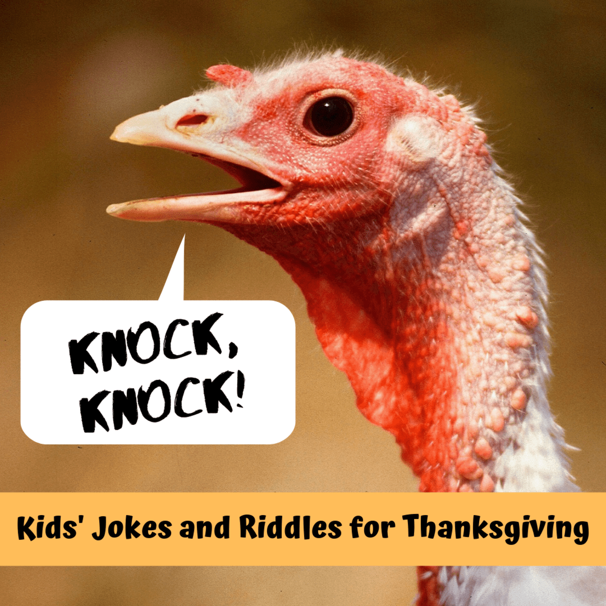 Funny and Silly Thanksgiving Jokes and Quotes to Share Holidappy