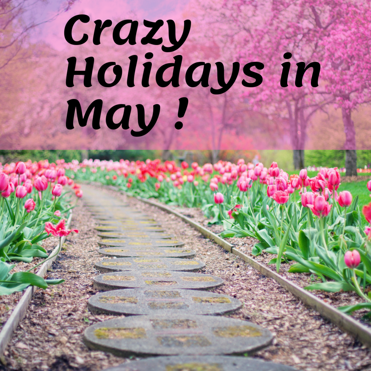 Fun and Crazy Holidays in May You'll Want to Celebrate