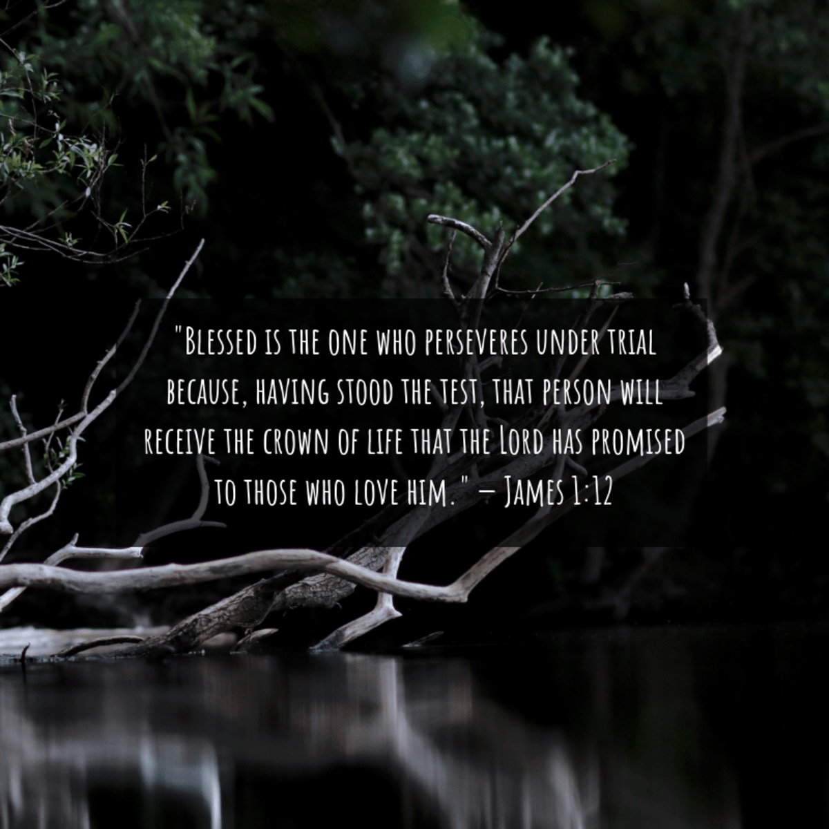 Bible Verses to Use as Condolences and Sympathy Messages Holidappy