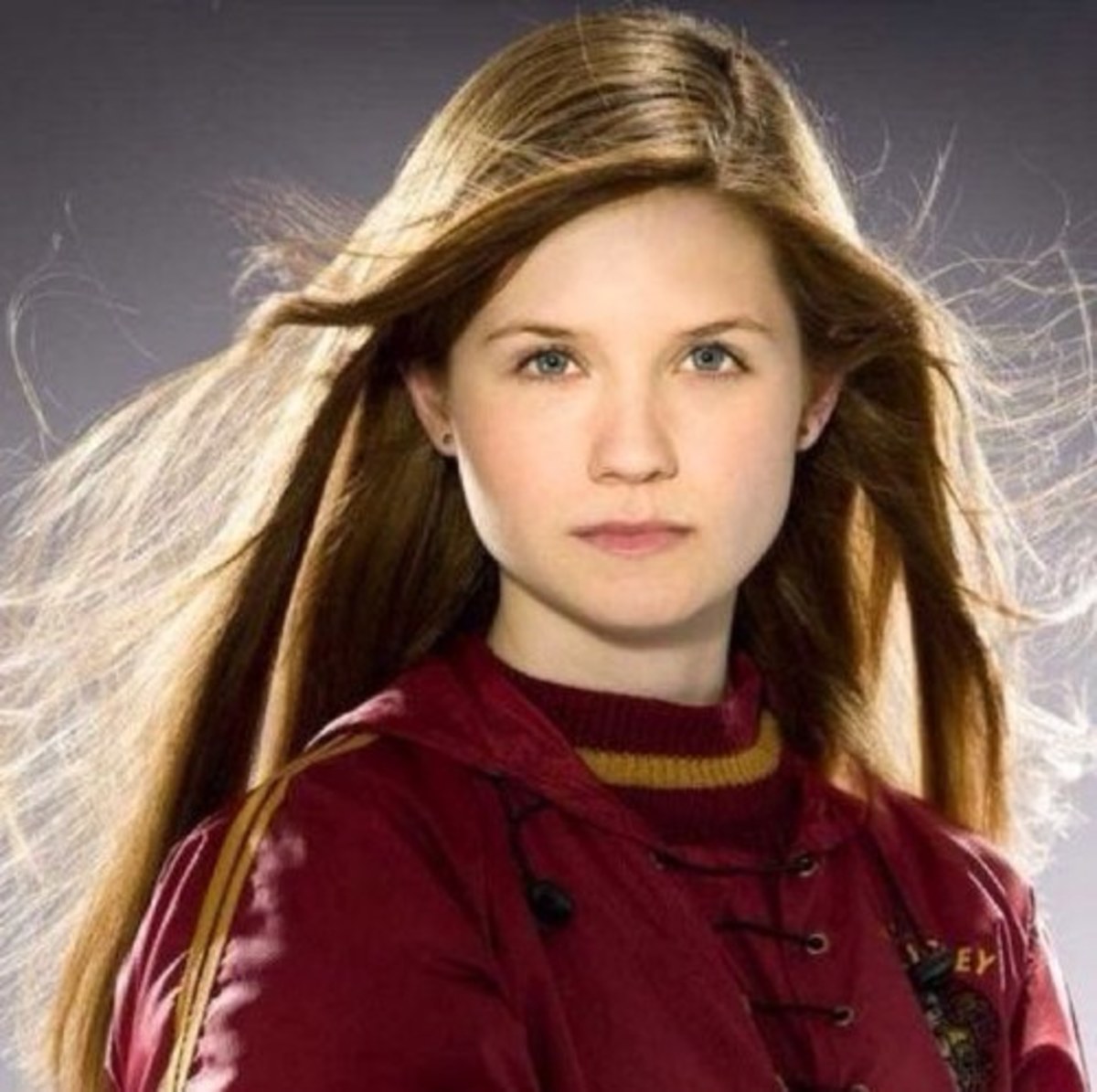 Top 10 Hogwarts Quidditch Players HobbyLark