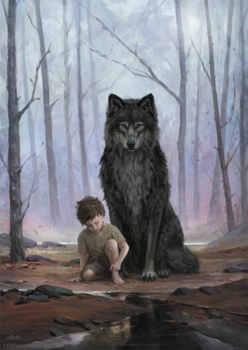 The Boy with the Wolf LetterPile