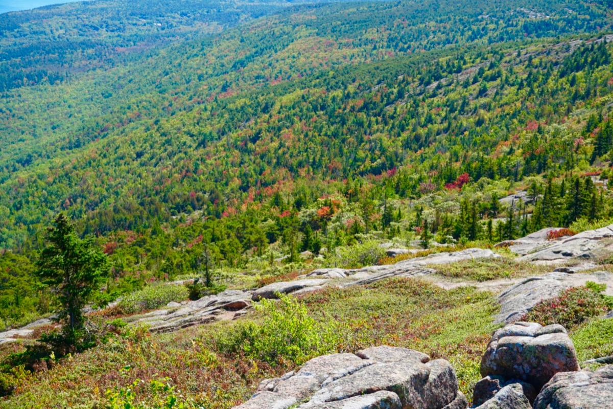 Cadillac Mountain The Jewel of Acadia National Park WanderWisdom