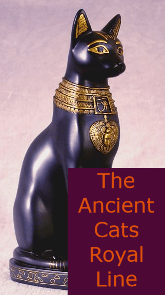 How Cats Became Domesticated The Royal Line PetHelpful