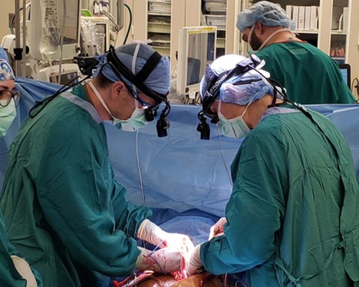 Amazing Heart Transplant HubPages