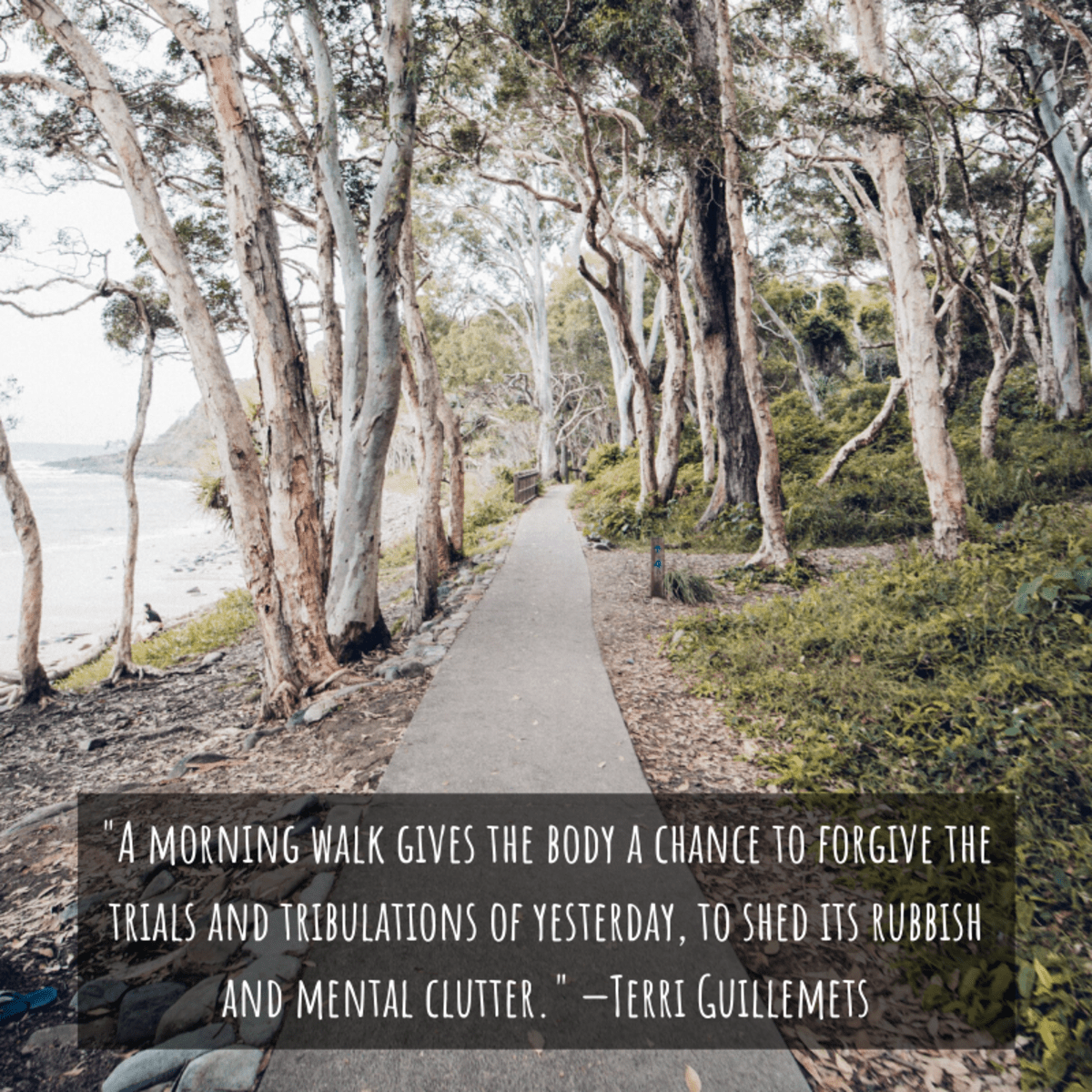 Motivational Quotes to Inspire You to Walk Regularly Holidappy