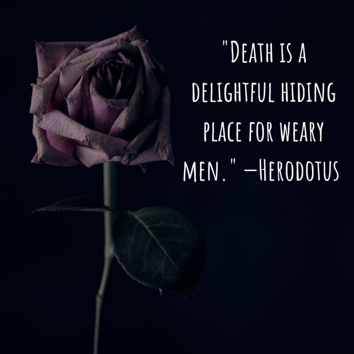 Funny and Clever Quotes About Mortality, Death, and Dying Holidappy