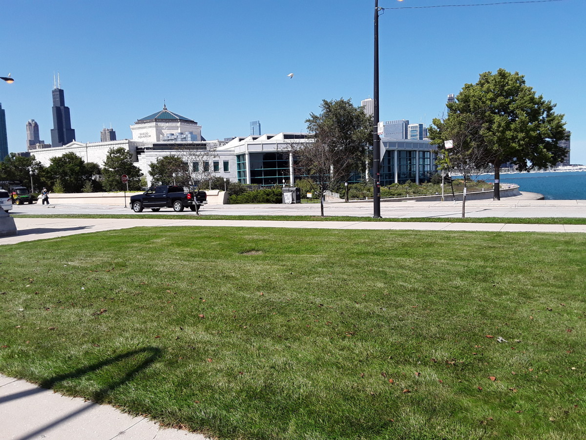 The Chicago Drivers' Guide to Rideshare Street Smarts The