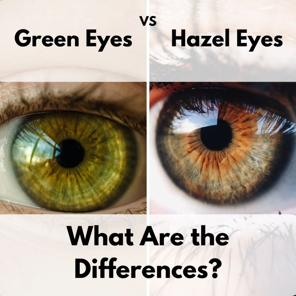 The Difference Between Green and Hazel Eyes Owlcation