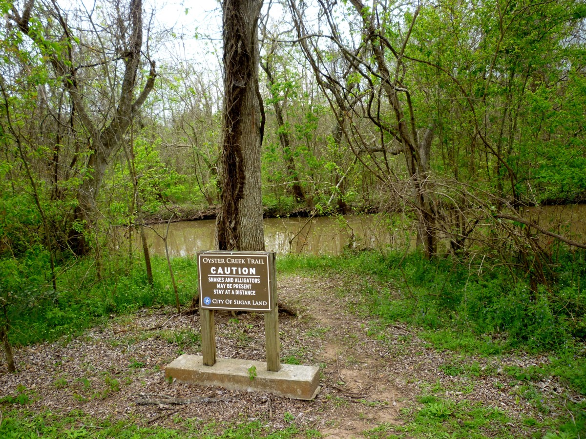Oyster Creek Park Spectacular Beauty and Art in Sugar Land, Texas