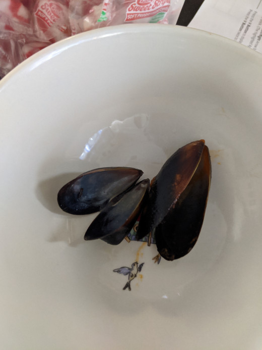 Mussels in Sauces from Frozen HubPages