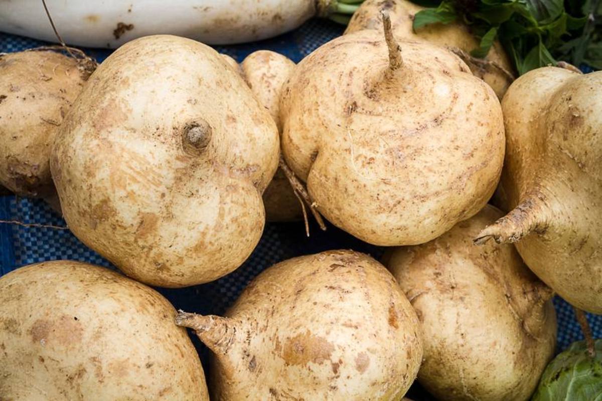 Root Crops Grown in the Philippines HubPages