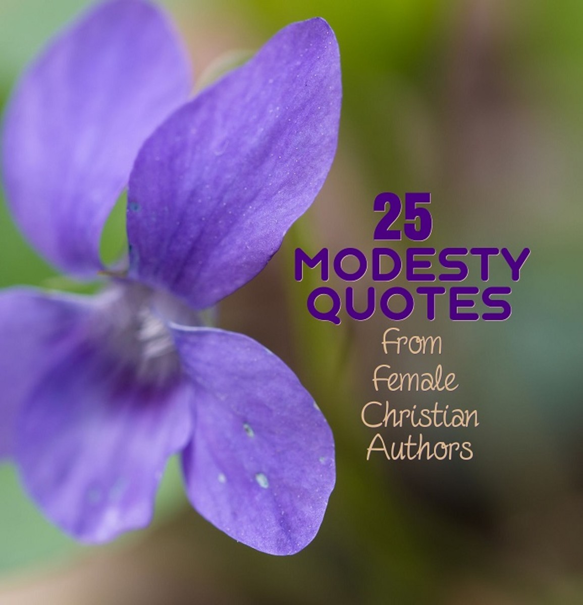 25 Modesty Quotes from Christian Female Authors HubPages