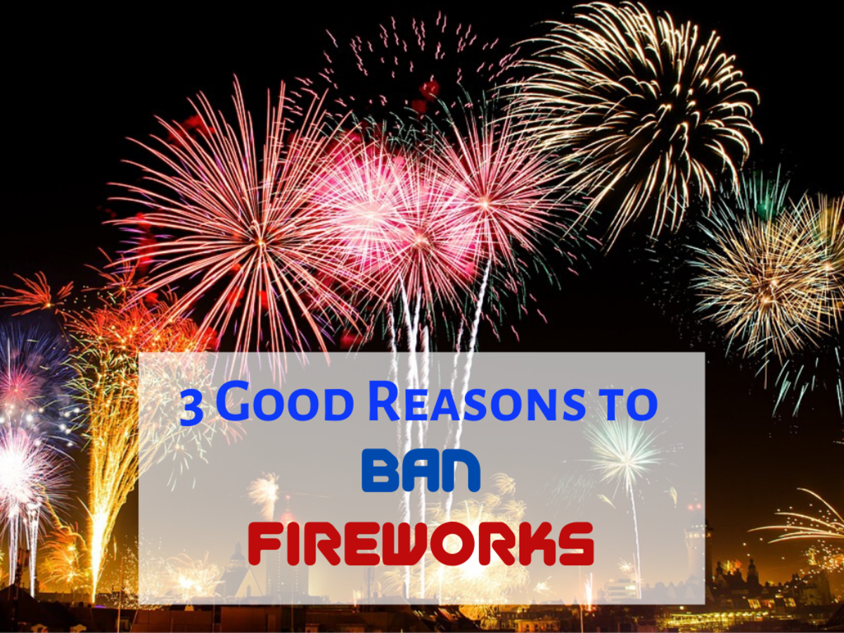 3 Good Reasons to Ban Fireworks in the U.S. Soapboxie