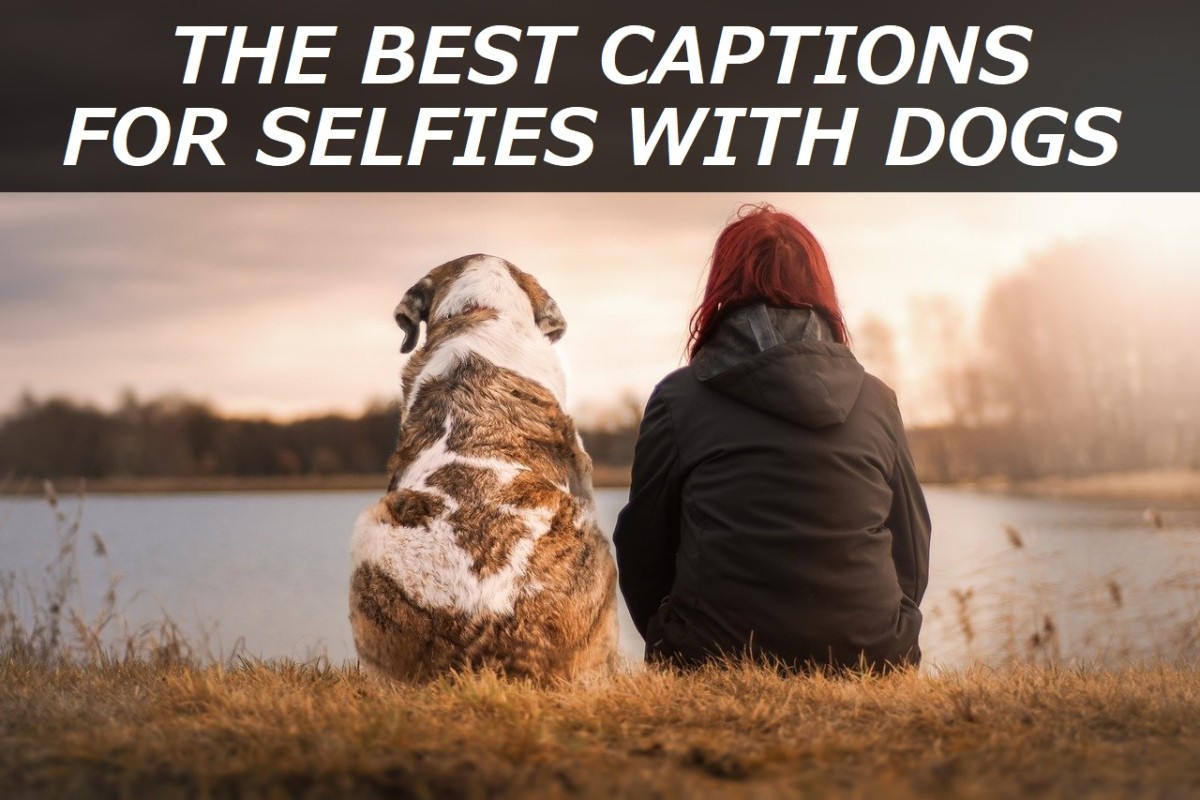 100+ Best Captions for Selfies With Dogs TurboFuture