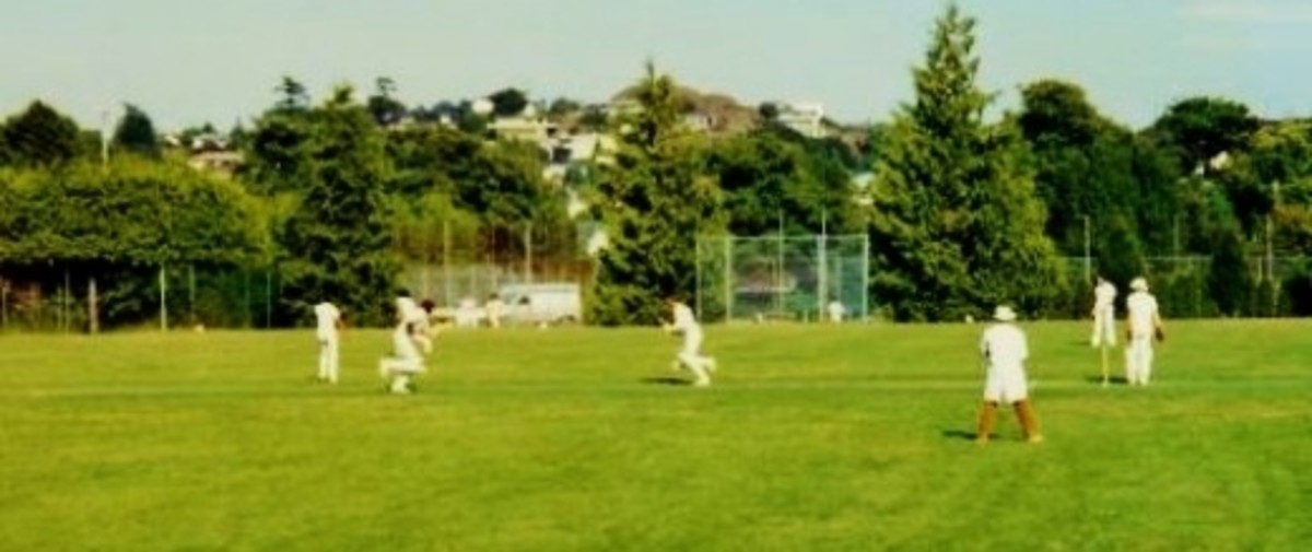 Beacon Hill Park See Photos of Visiting This Site Located in