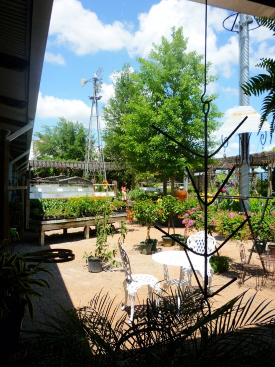 Martha's Bloomers in Navasota, Tx See Photos of Shops, Pots, Plants