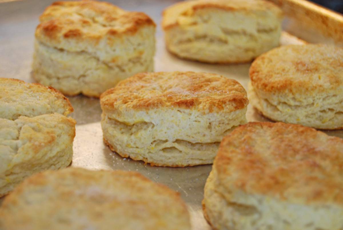 Worlds Best Biscuit Recipes hubpages